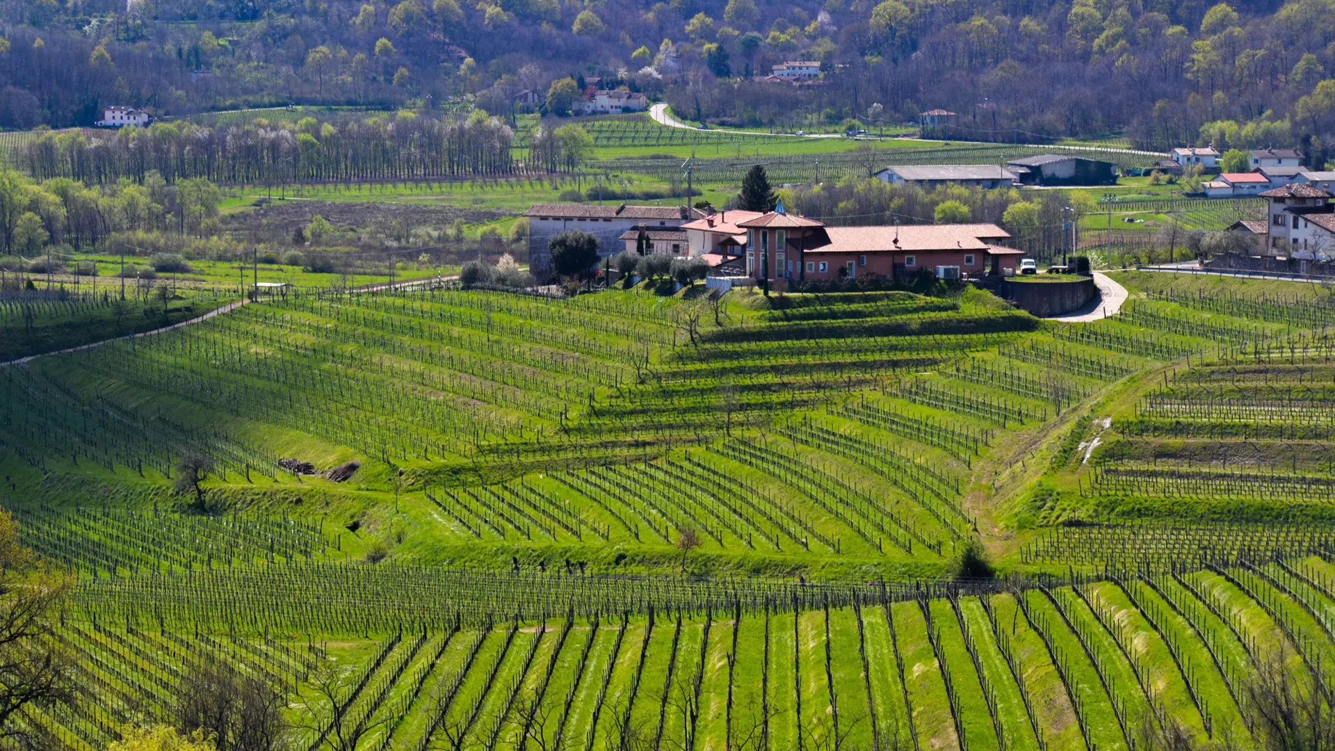 Fotografía aérea de un paisaje rural con colinas escalonadas cubiertas de viñedos verdes y una construcción rústica en la parte superior.